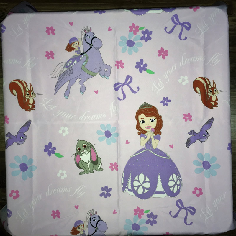 Table cloth (Sofia the 1st) for party hire Bloemfontein